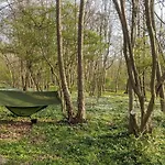5 Star In Faaborg Bøjden