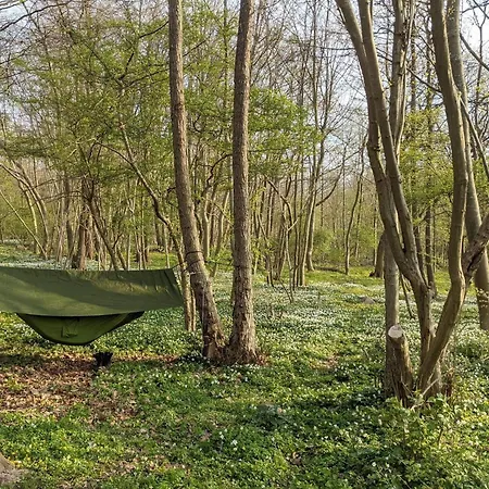 5 Star In Faaborg Bojden